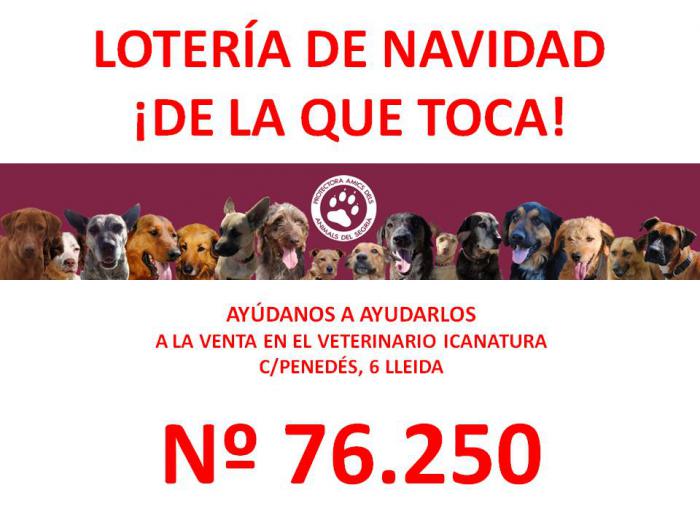 LOTERIA 2019 LOTERIA 2019