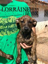 Lorraine Lorraine