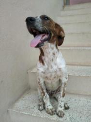 Toulouse Toulouse