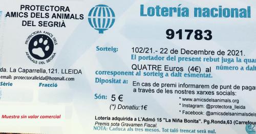LOTERÍA