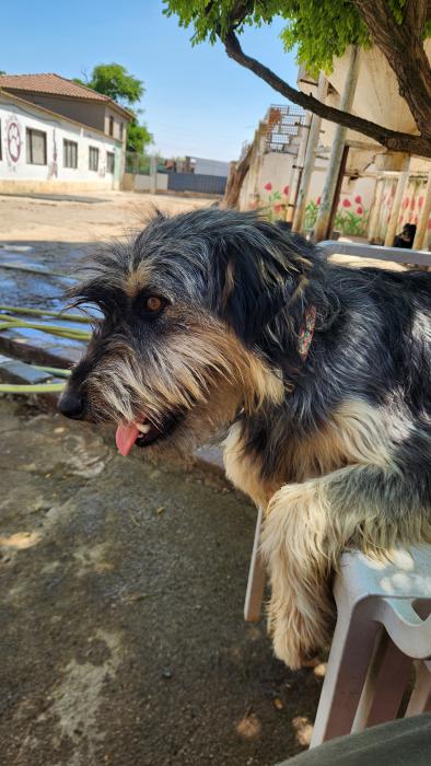 ARCHIE