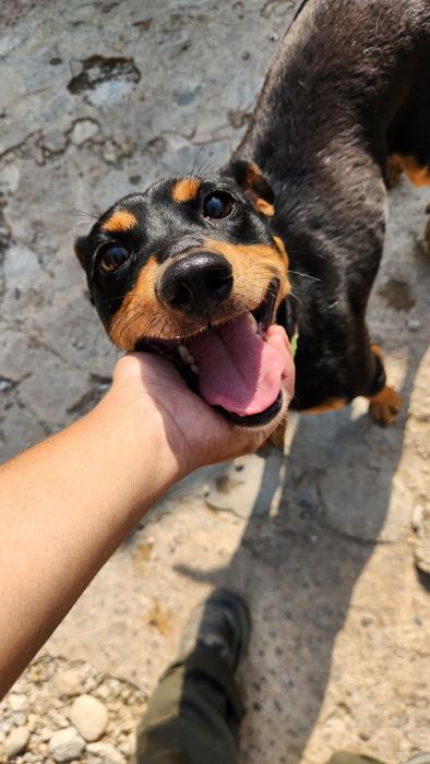 GASPI