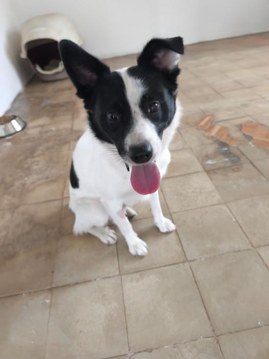 LUCA
