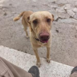 Tambor�n