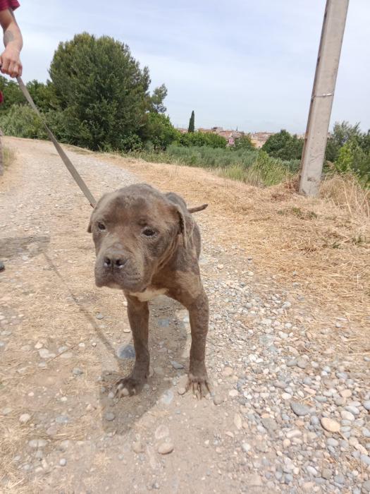 Oskar